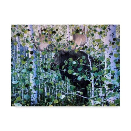 Trademark Fine Art Jeff Tift 'Moose Hiding' Canvas Art, 18x24 ALI30208-C1824GG